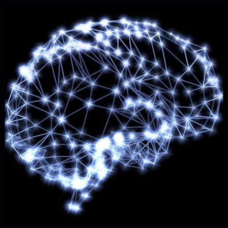 Asociación de Científicos Fundación Alicia Koplowitz